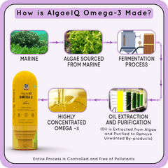 YogaManLab® AlgaeIQ Omega-3 with 800mg DHA | Plant Based, Vegan & Natural | For Improving Heart, Brain, Hair, Skin, Joint & Eye Health | Higest Absorption Formula | 30 Days Pack