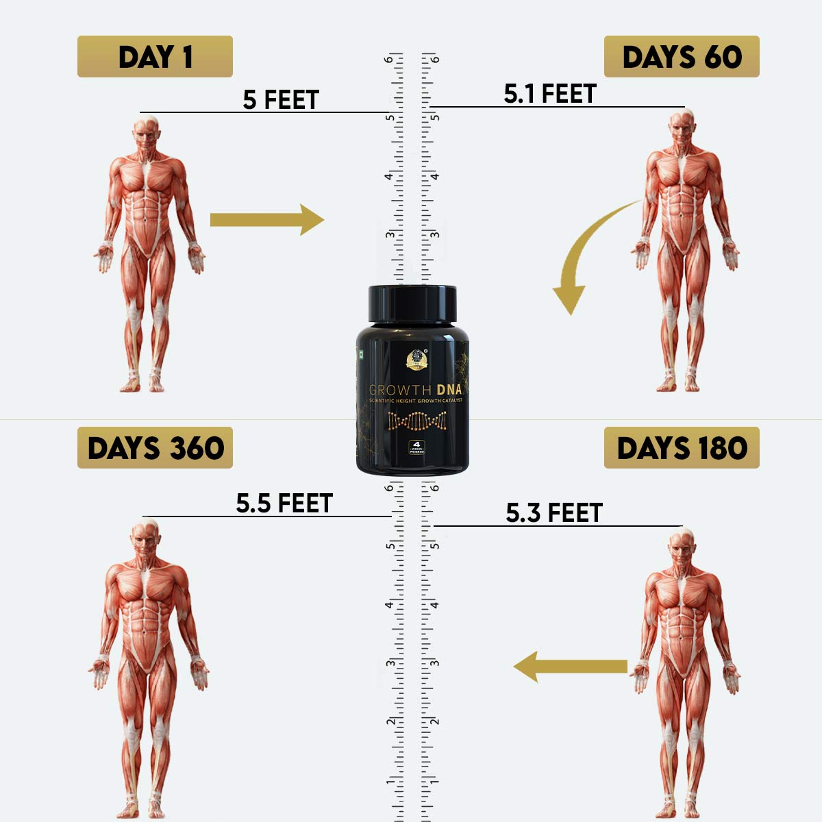 YogaManLab® Growth DNA - Ayurvedic Height Increaser Program | Growth Plate Activator | Guaranteed Results Formula | 100% Natural