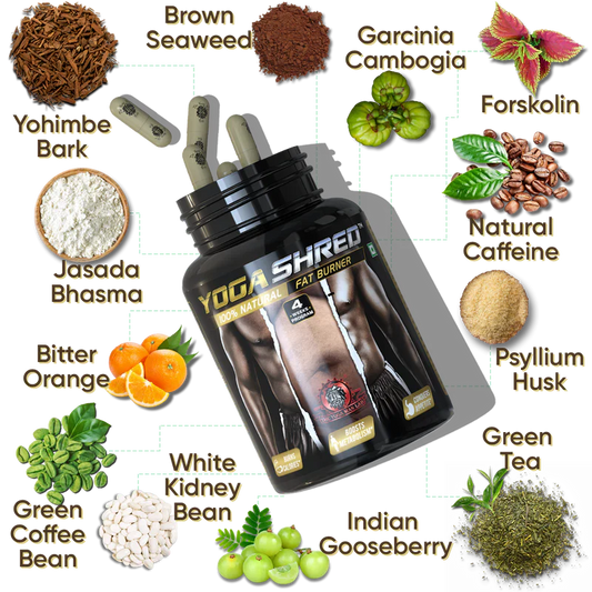 YOGA SHRED - Burn Fat At-Home Ayurvedic Supplement Capsules (Men) | Helps in Weight Loss & Boosting Energy | Ayurvedic & 100% Natural