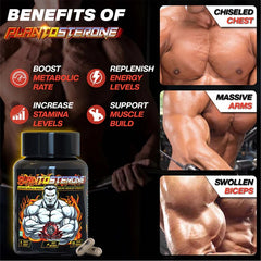 YogaManLab® PLANTOSTERONE - Ayurvedic Muscle Builder & Testosterone Booster | Helps Increase Muscle Size & Body Weight| 100% Natural