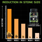 YogaManLab® STONE DISSOLVER+ - Stone Remover Ayurvedic Supplement | 100% Natural & Plant Based