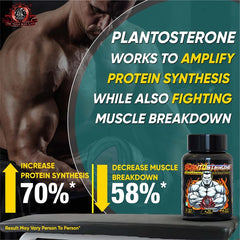 YogaManLab® PLANTOSTERONE - Ayurvedic Muscle Builder & Testosterone Booster | Helps Increase Muscle Size & Body Weight| 100% Natural