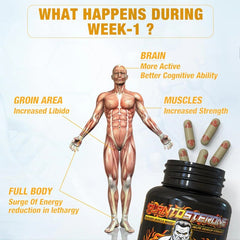 YogaManLab® PLANTOSTERONE - Ayurvedic Muscle Builder & Testosterone Booster | Helps Increase Muscle Size & Body Weight| 100% Natural