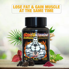 YogaManLab® PLANTOSTERONE - Ayurvedic Muscle Builder & Testosterone Booster | Helps Increase Muscle Size & Body Weight| 100% Natural